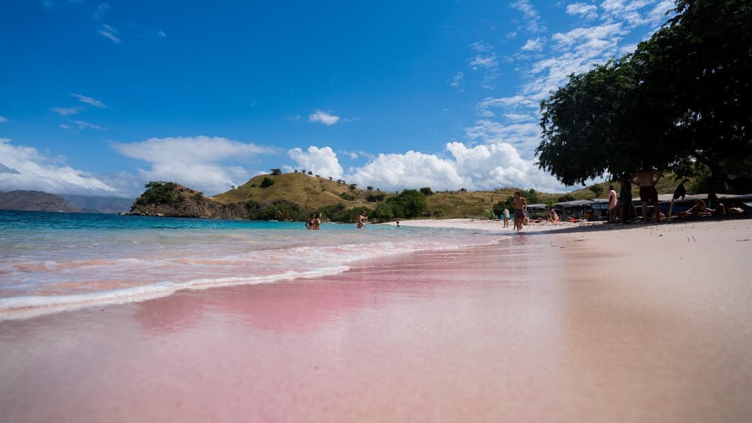 Day 2 – Padar Island, Pink Beach & Komodo Dragons