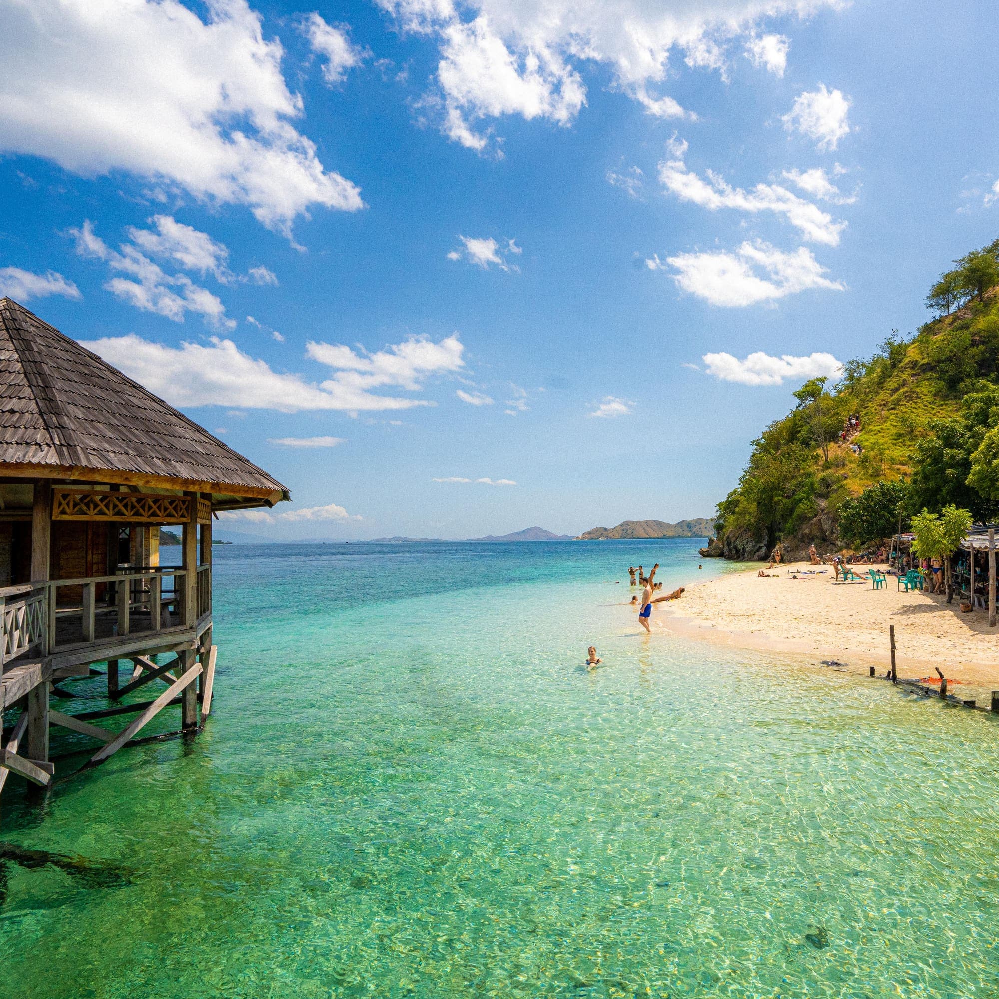 4D3N Komodo & Whale Shark Tour from Lombok